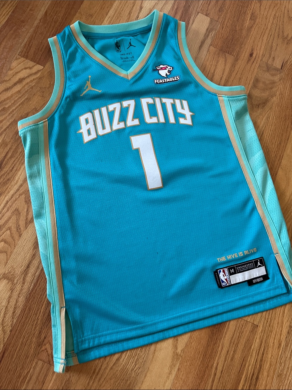 Charlotte Hornets jersey 🏀